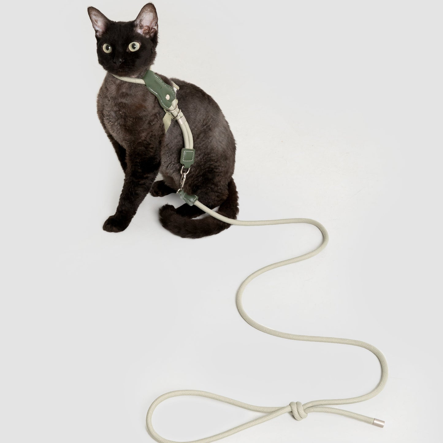 Leather Round Rope Cat Harness & Leash Set [Olive Green]