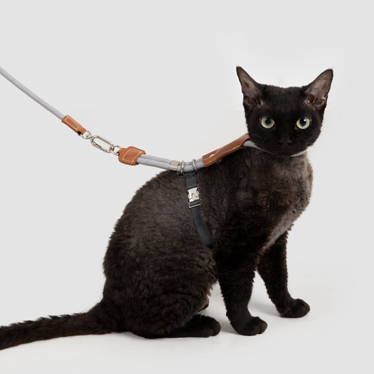 Leather Round Rope Cat Harness & Leash Set [Buckwheat Grey]