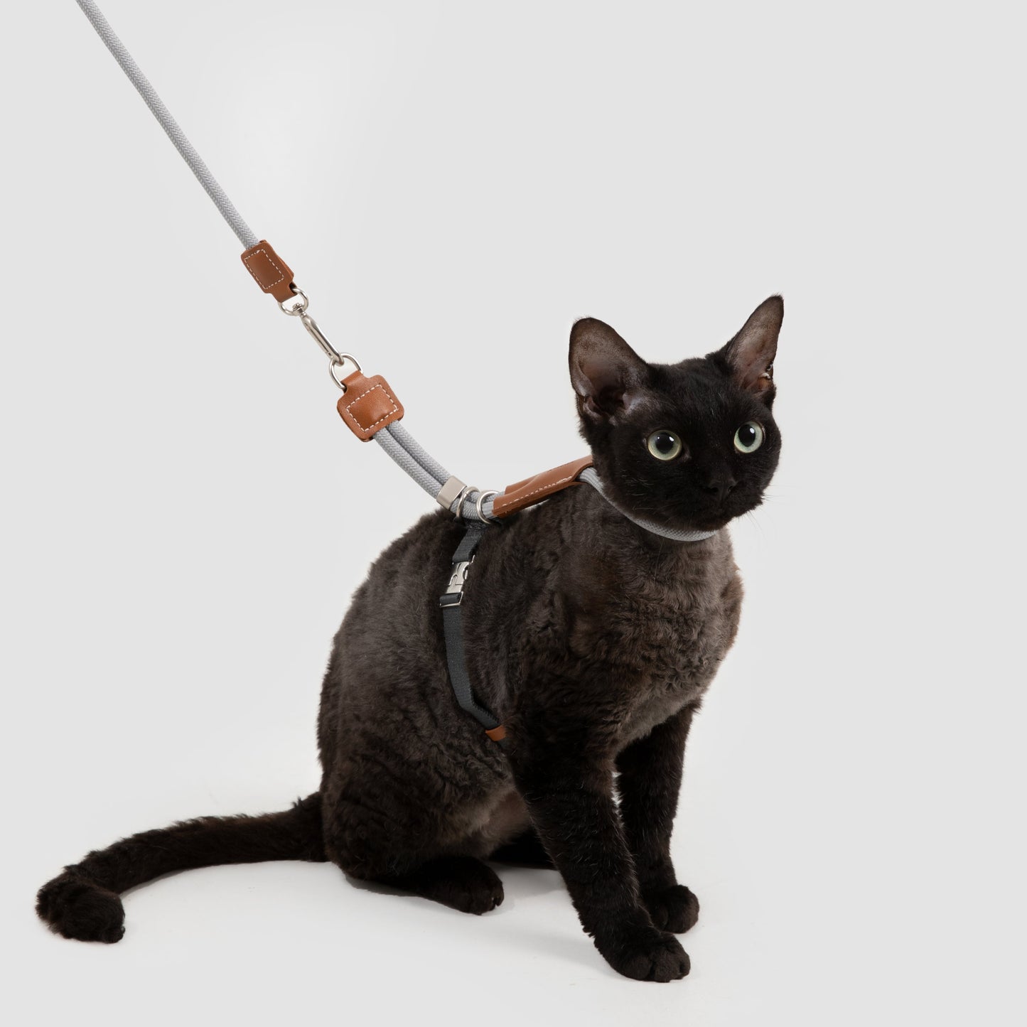 Leather Round Rope Cat Harness & Leash Set [Buckwheat Grey]