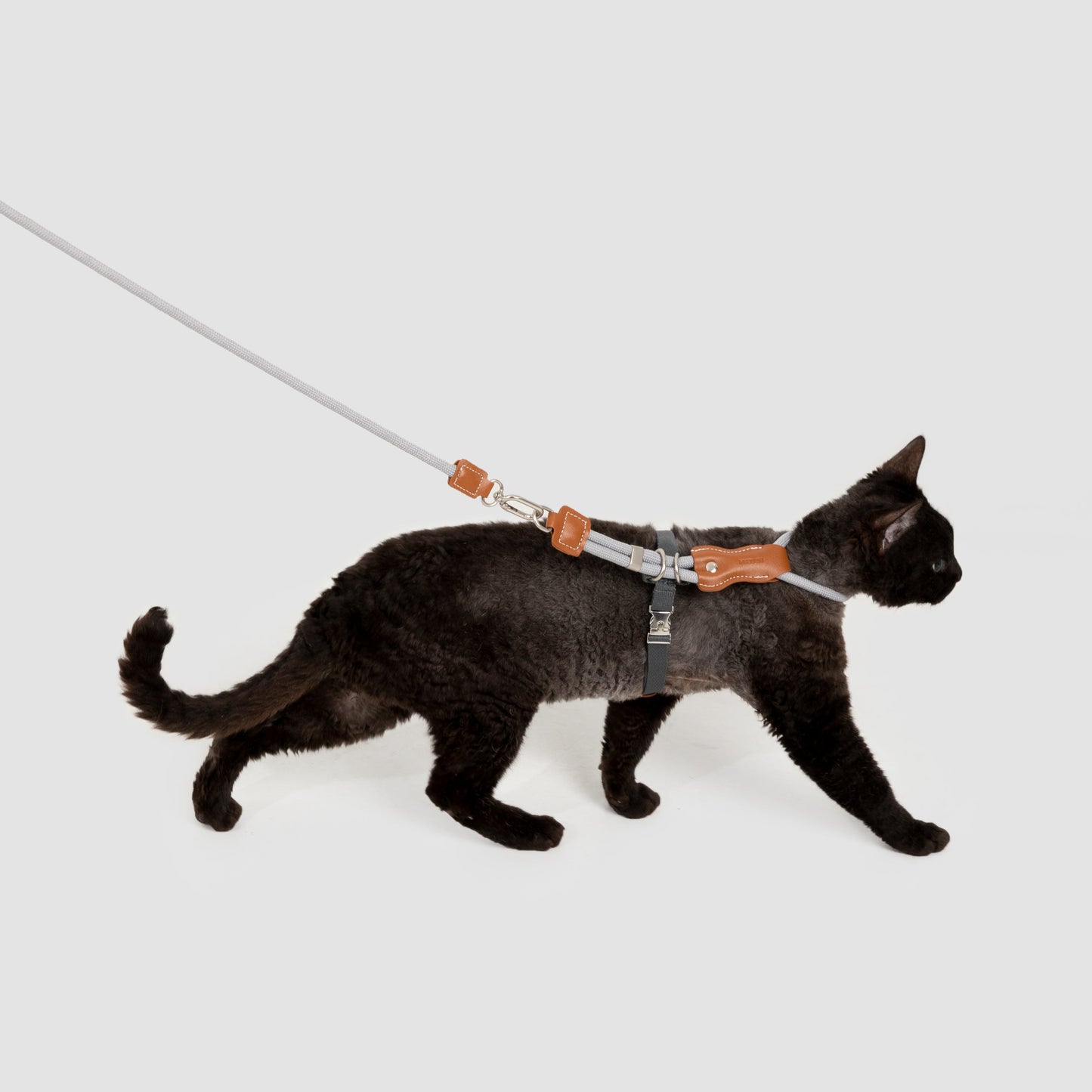 Leather Round Rope Cat Harness & Leash Set [Buckwheat Grey]