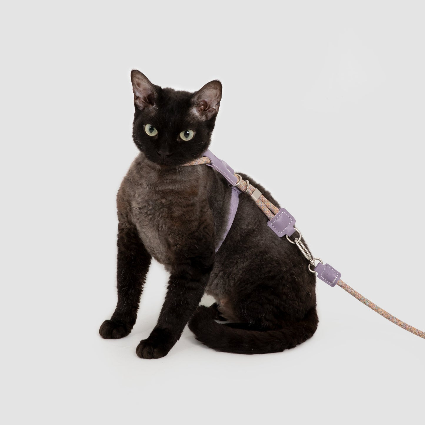 Leather Round Rope Cat Harness & Leash Set [Hibiscus Purple]