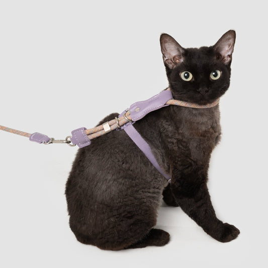 Leather Round Rope Cat Harness & Leash Set [Hibiscus Purple]