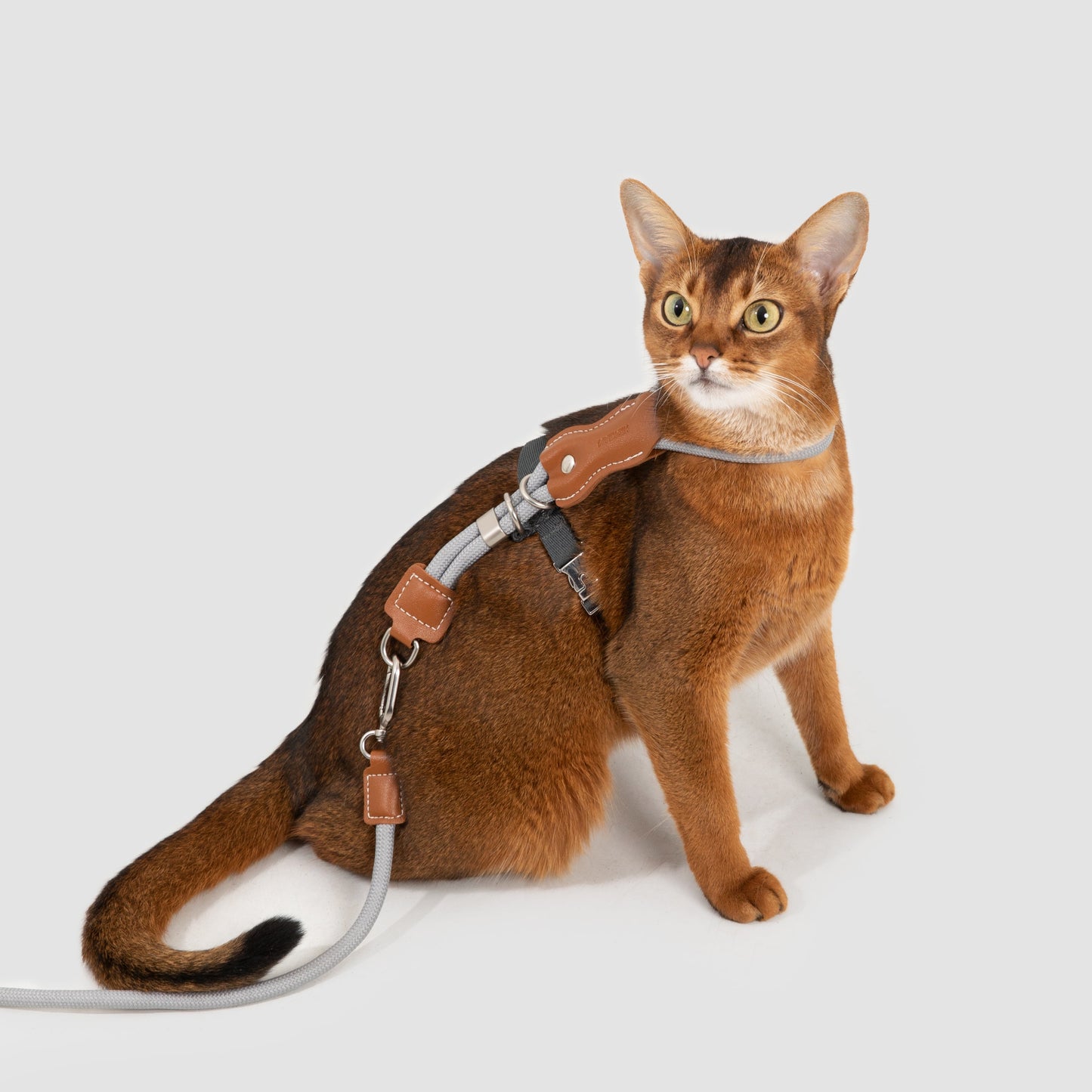Leather Round Rope Cat Harness & Leash Set [Buckwheat Grey]