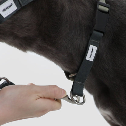 Valley Series Anti-Pulling Dog Muzzle [Buckwheat Grey]