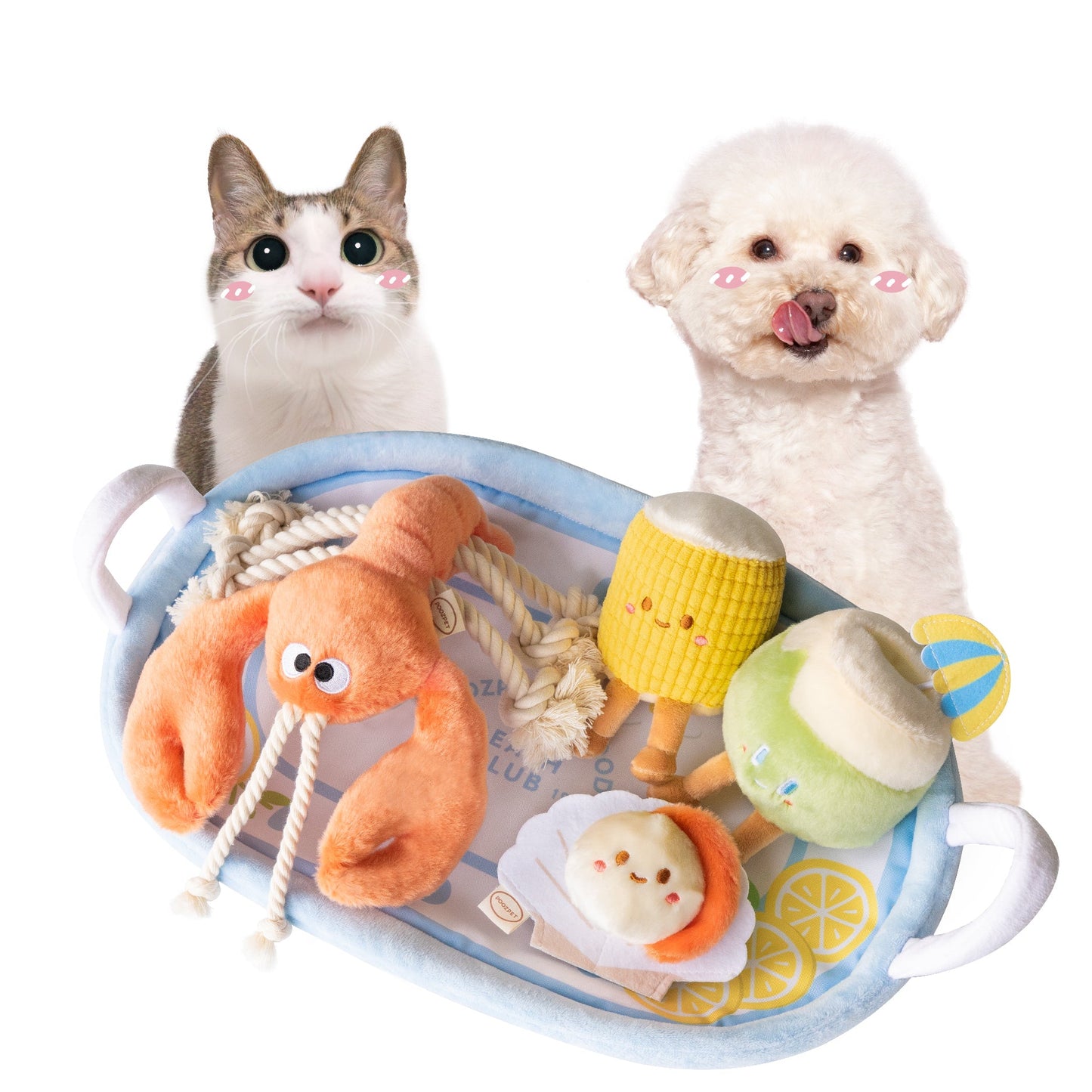 🦞 Seafood Platter Enrichment Gift Set