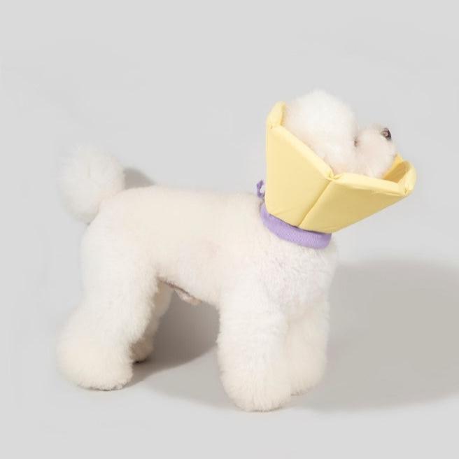 Soft Tapered Elizabethan Rings Dog & Cat Recovery Collar [Cheese Yellow]