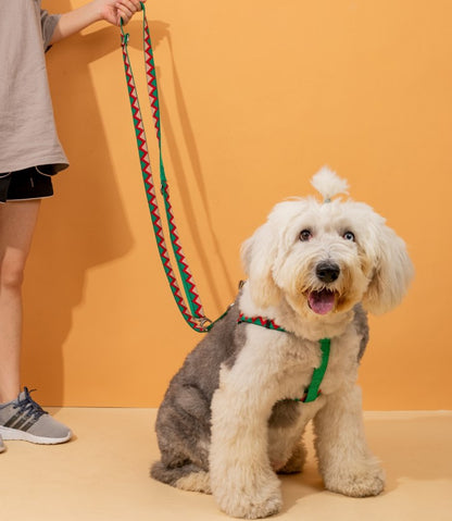 Rainbow Series Hands-Free Multi-Functional Dog Leash [Green]
