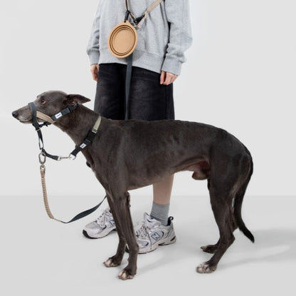 Valley Series Anti-Pulling Dog Muzzle [Buckwheat Grey]
