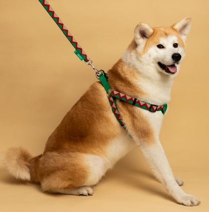 Rainbow Series Y-Shaped Dog Harness [Green]