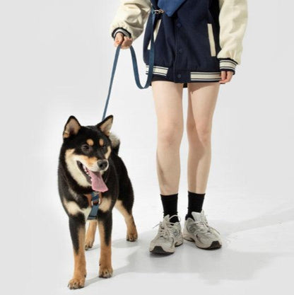 BOBO Series Leather I-shape Dog Harness [Cloud Mountain Blue]