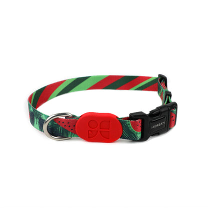 Colorful Series Dog Collar [Watermelon]