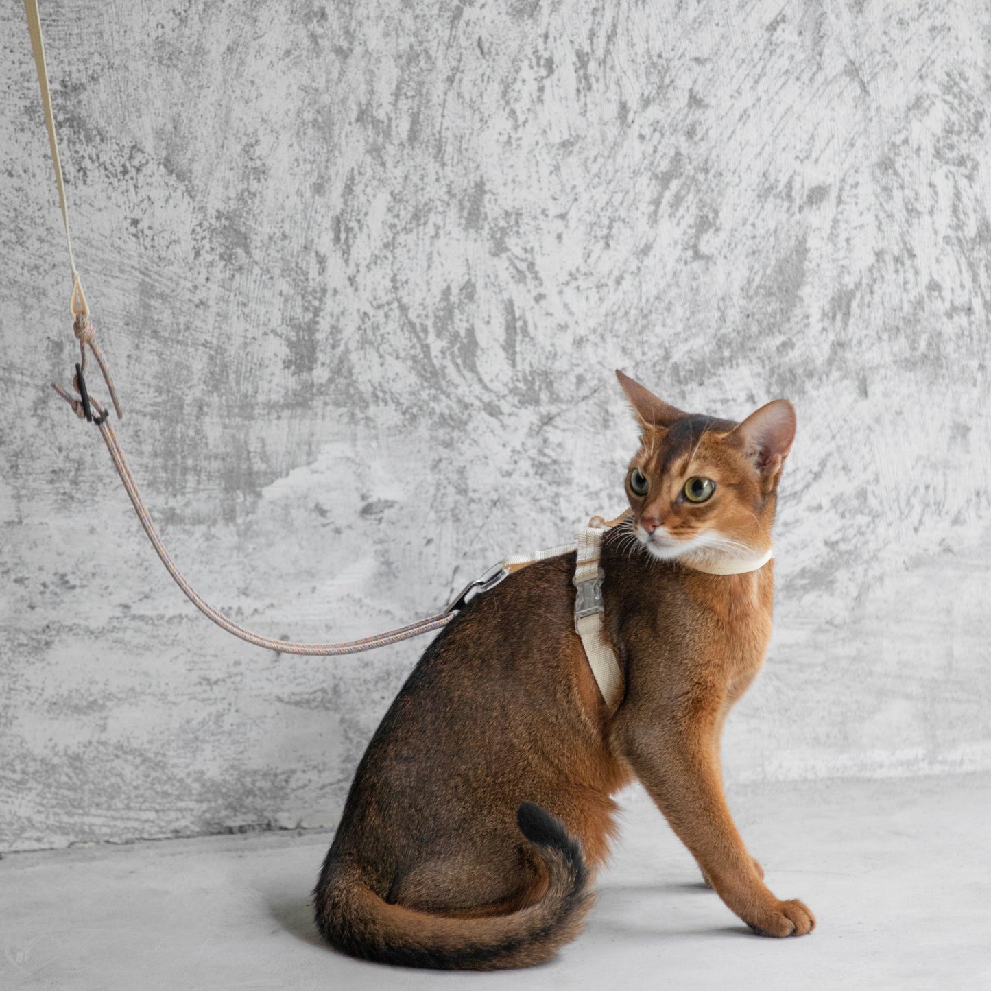 BOBO Series Freedom Exploration Cat H-Shape Harness and Leash Set [Camellia White]