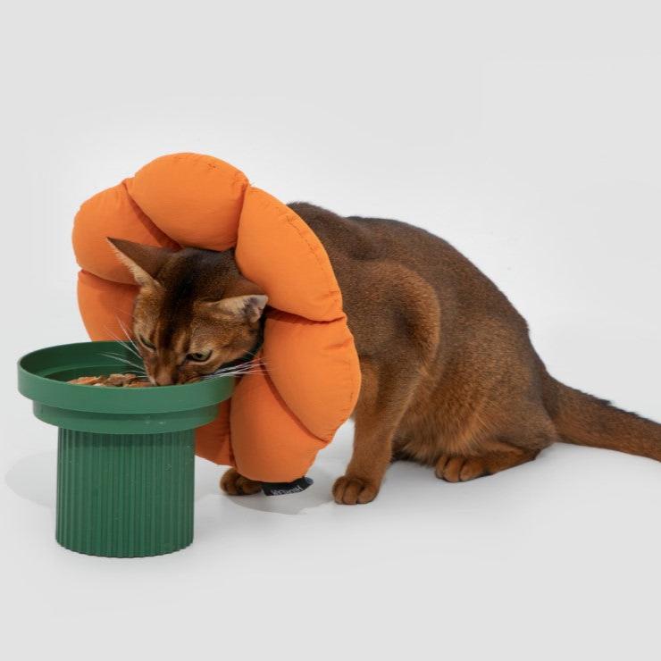 Flower Shaped Elizabethan Rings Dog & Cat Recovery Collar [Pumpkin Orange]