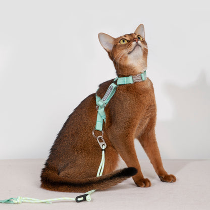 BOBO Series Freedom Exploration Cat H-Shape Harness and Leash Set [Moonlight Green]