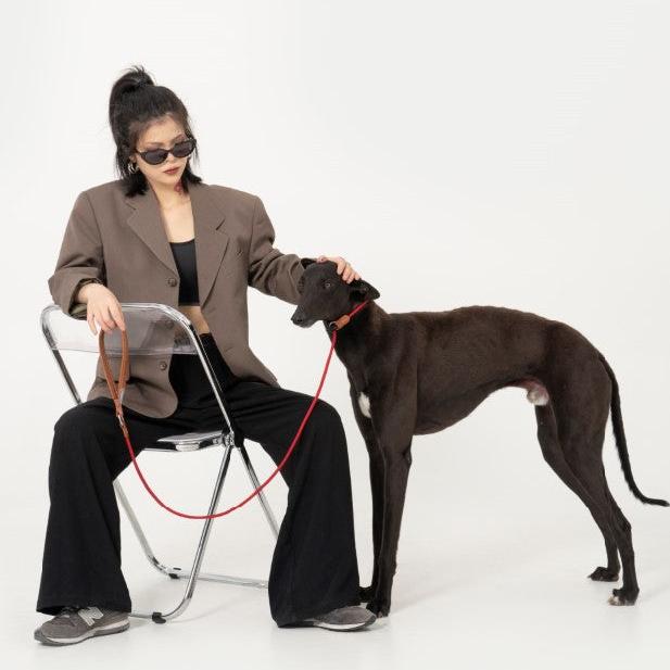 BOBO Series Leather Handle Integrated One Piece Dog Training P Rope [Berry Red]