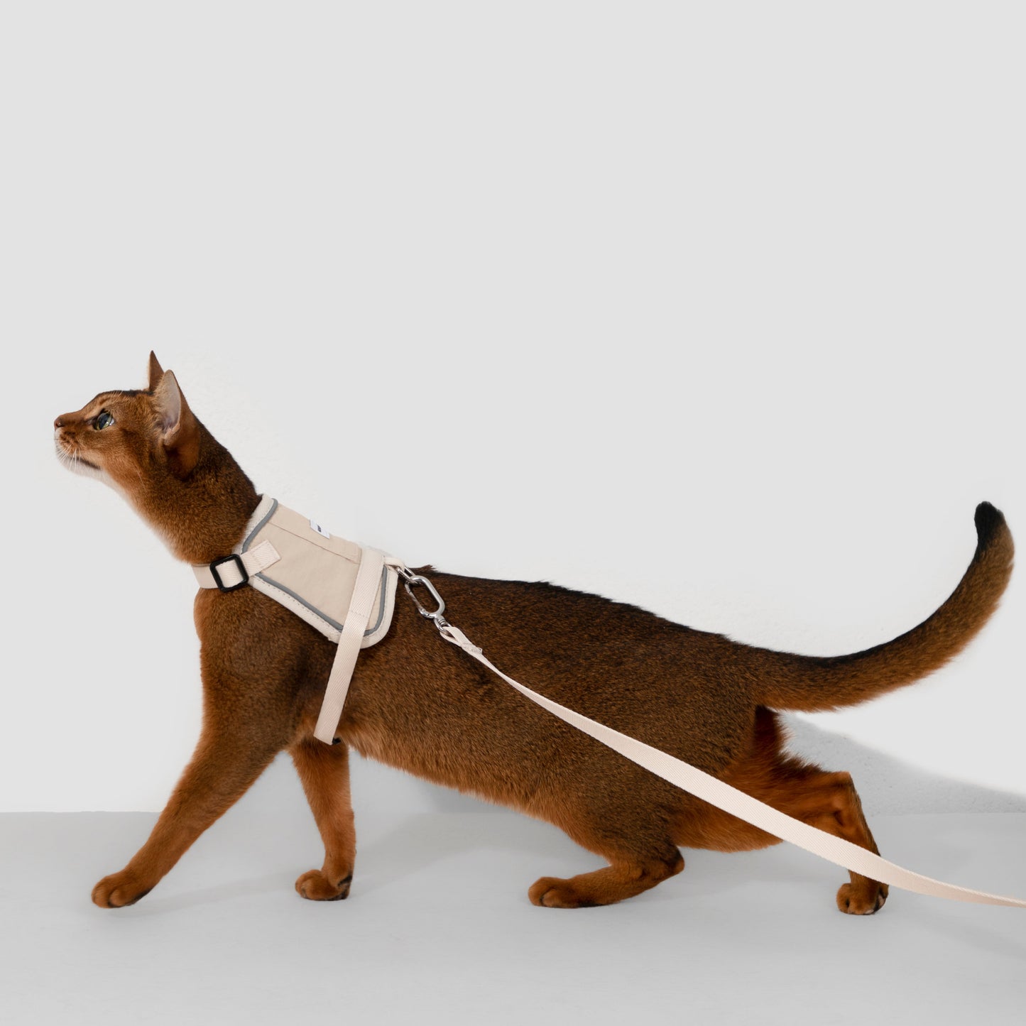Valley Series Vest-Style Cat Harness and Leash Set [Milk Brown]