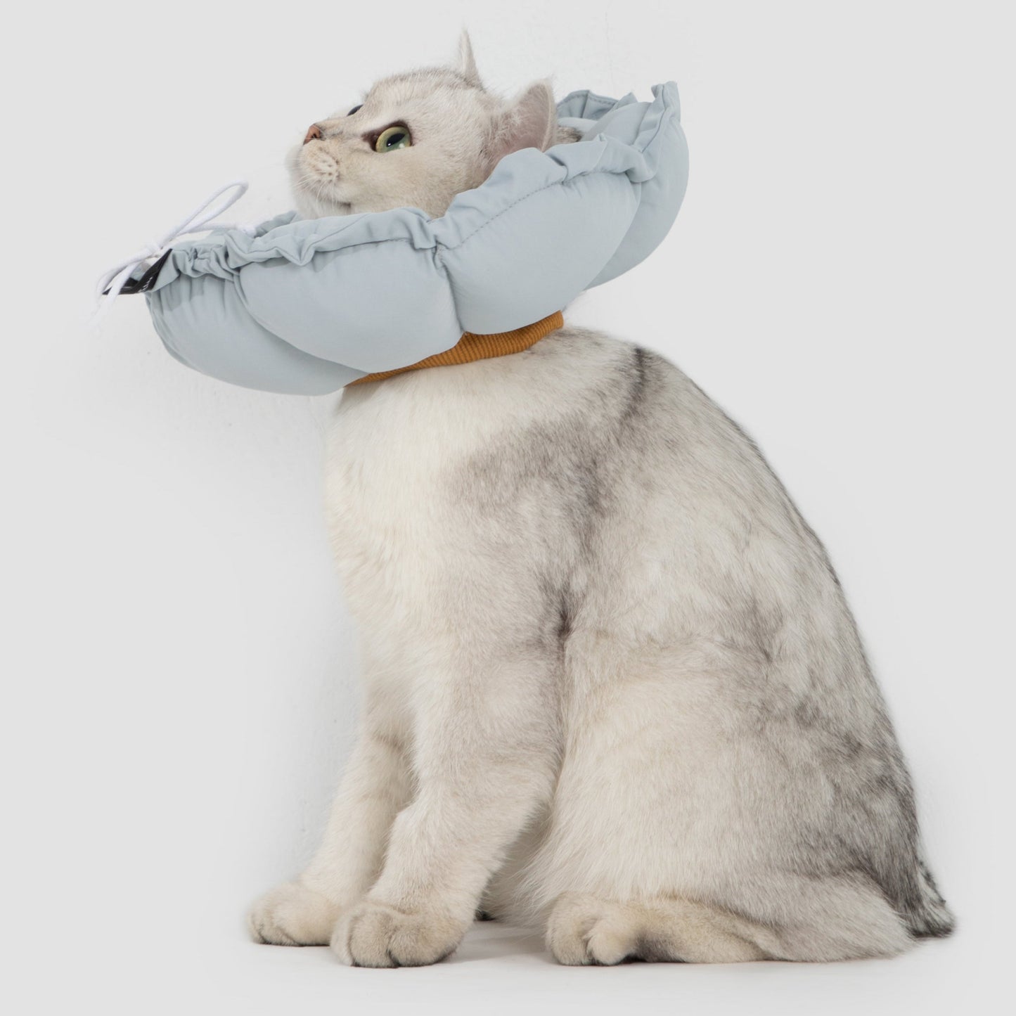 Flower Shaped Elizabeth Collar for Dog & Cat [Iceland Blue]