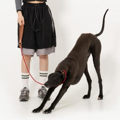 BOBO Series Leather Handle Integrated One Piece Dog Training P Rope [Berry Red]