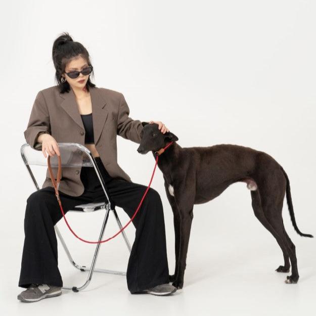 BOBO Series Leather Handle Integrated One Piece Dog Training P Rope [Berry Red]