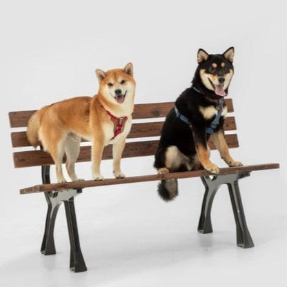 BOBO Series Leather I-shape Dog Harness [Cloud Mountain Blue]