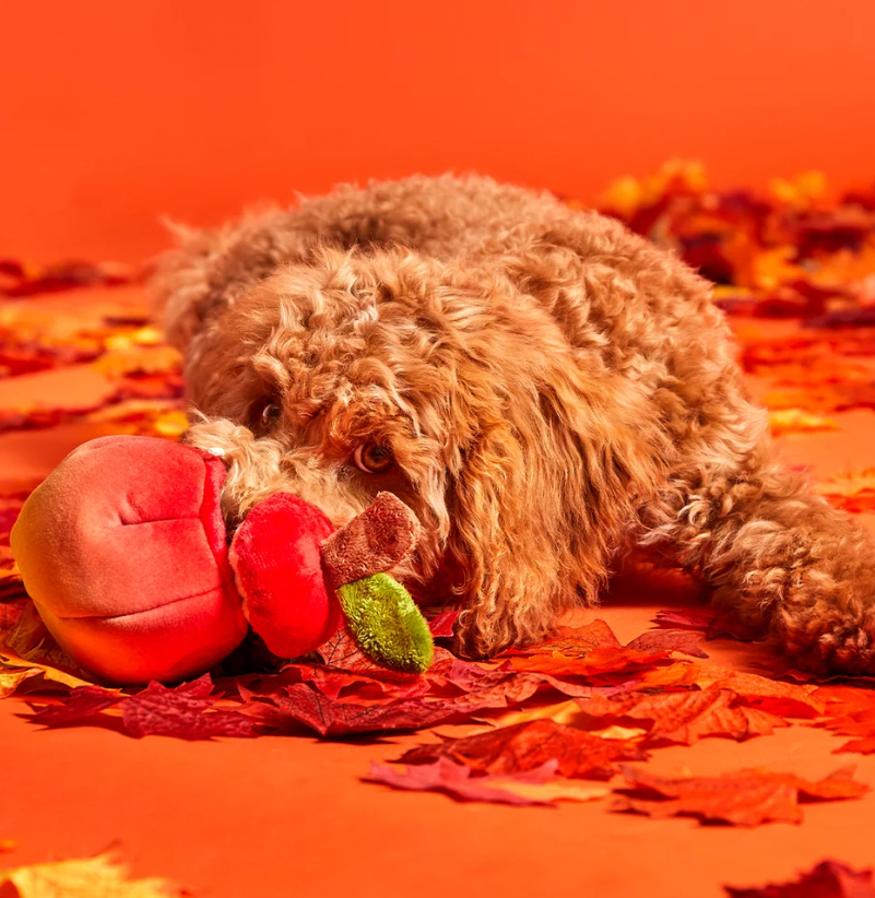 🍎Red Malicious Apple Multi-Part Enrichment Toy