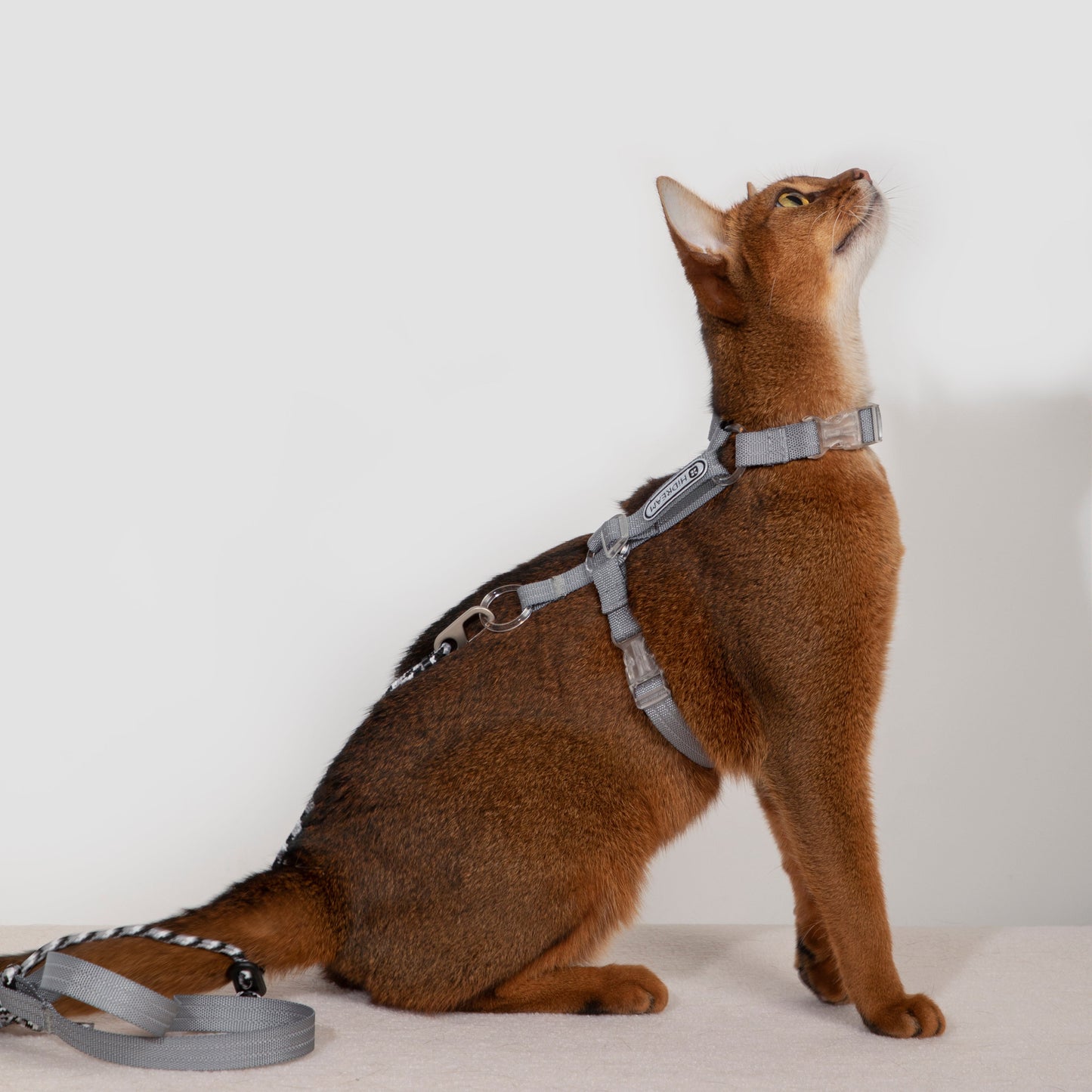 BOBO Series Freedom Exploration Cat H-Shape Harness and Leash Set [Dove Gray]