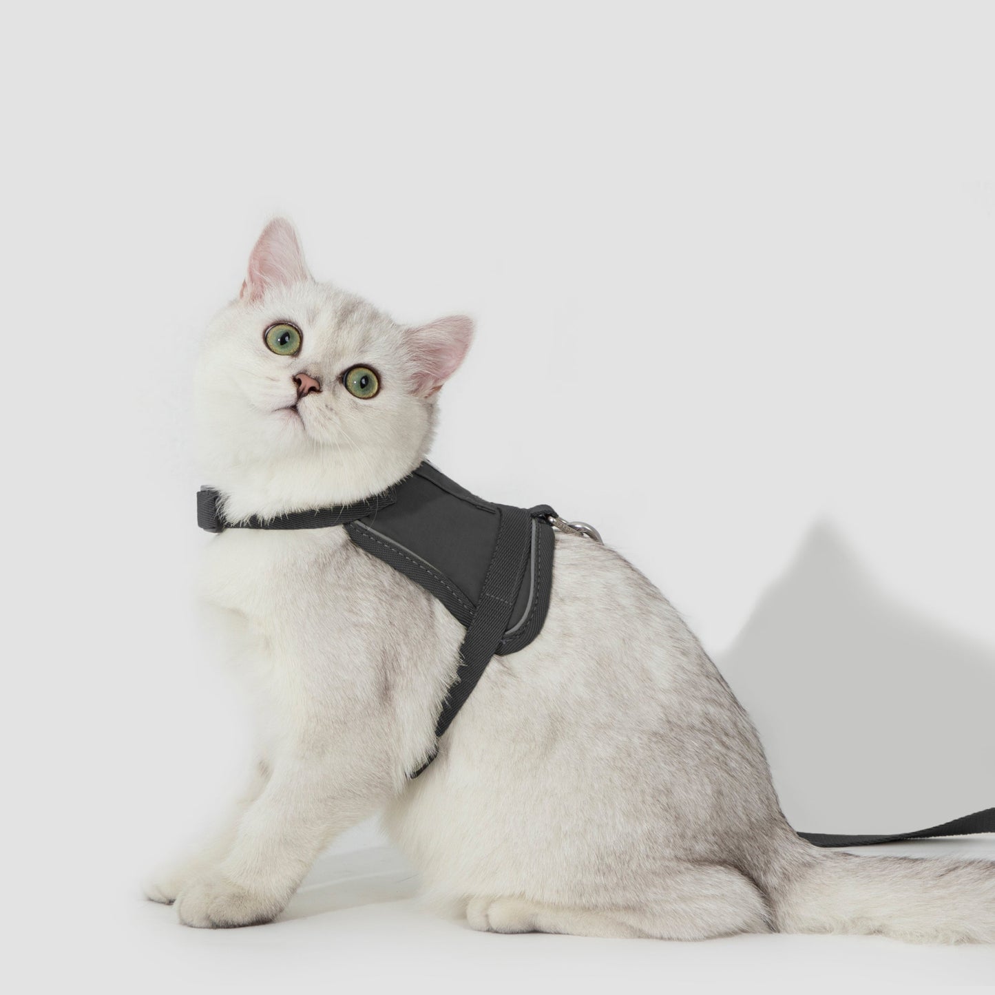 Valley Series Vest-Style Cat Harness and Leash Set [Buckwheat Gray]