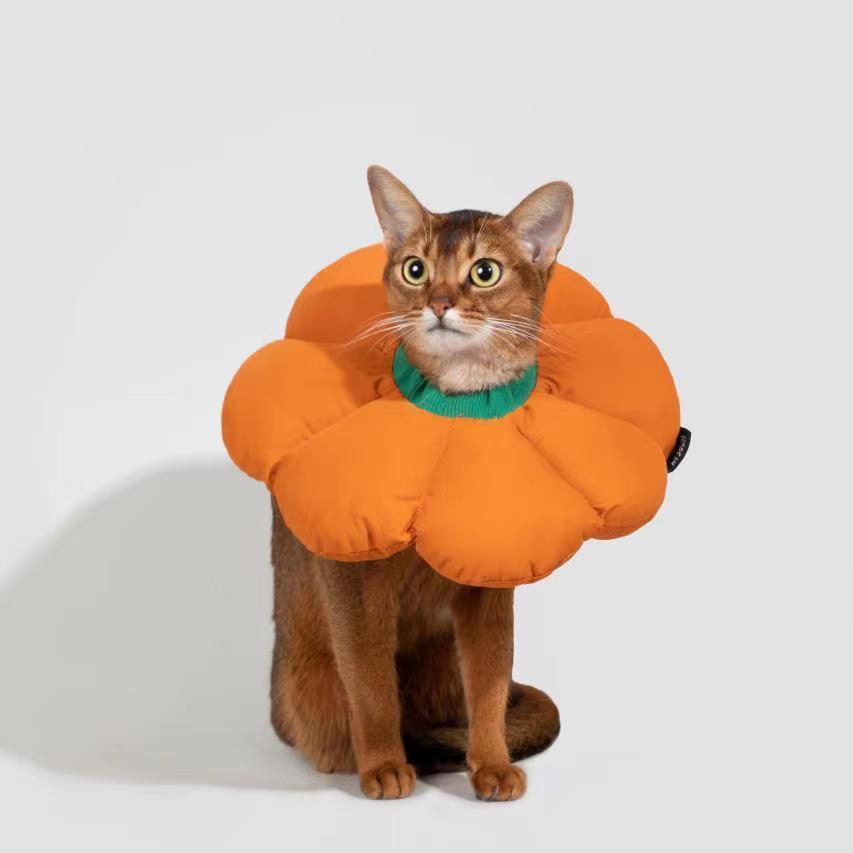 Flower Shaped Elizabethan Rings Dog & Cat Recovery Collar [Pumpkin Orange]