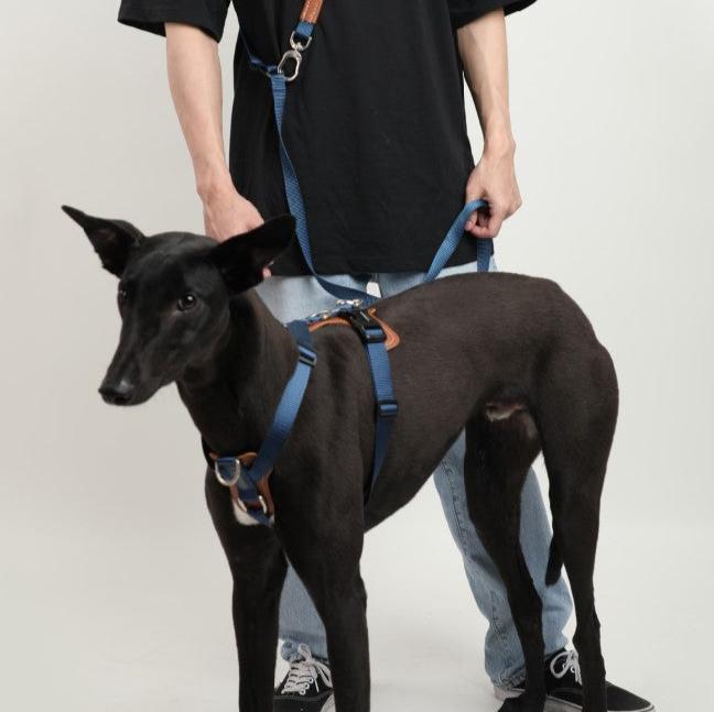 BOBO Series Leather Hands Free Multi-Function Cross Body Dog Leash [Cloud Mountain Blue]