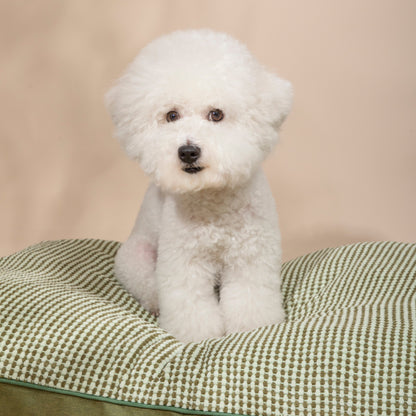Premium Soft Pet Bed Mat [Greenfield Park]