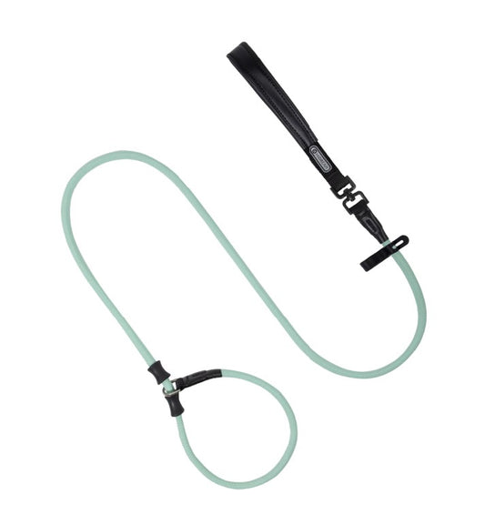 BOBO Series Leather Handle Integrated One Piece Dog Training P Rope [Spruce Green]