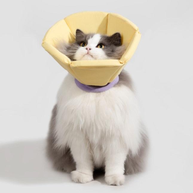Soft Tapered Elizabethan Rings Dog & Cat Recovery Collar [Cheese Yellow]