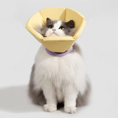 Soft Tapered Elizabethan Rings Dog & Cat Recovery Collar [Cheese Yellow]