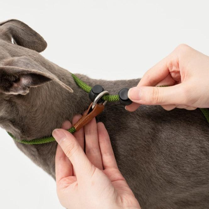 BOBO Series Leather Handle Integrated One Piece Dog Training P Rope [Moss Green]