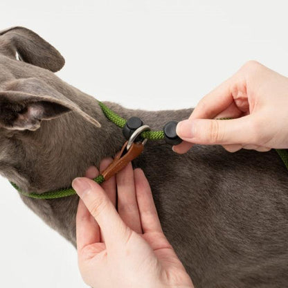BOBO Series Leather Handle Integrated One Piece Dog Training P Rope [Moss Green]