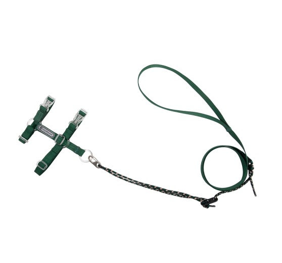 BOBO Series Freedom Exploration Cat H-Shape Harness and Leash Set [Turquoise Green]