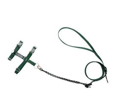 BOBO Series Freedom Exploration Cat H-Shape Harness and Leash Set [Turquoise Green]