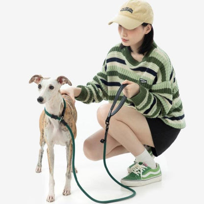 BOBO Series Leather Handle Integrated One Piece Dog Training P Rope [Turquoise Green]