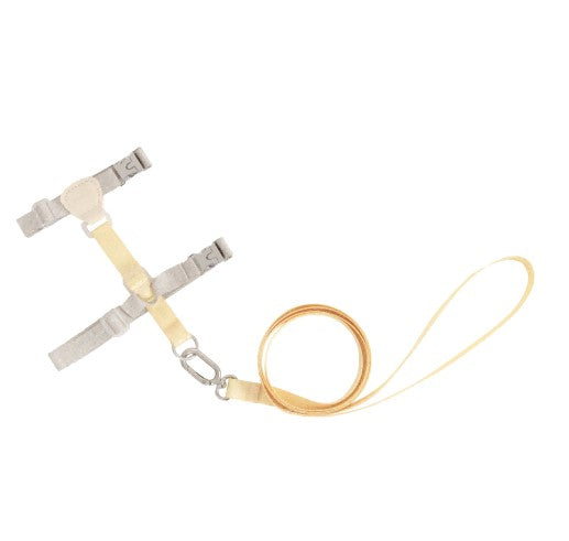 Two-Tone Leather Cat Harness &  Leash Set [🍋 Fruit Stem Yellow]