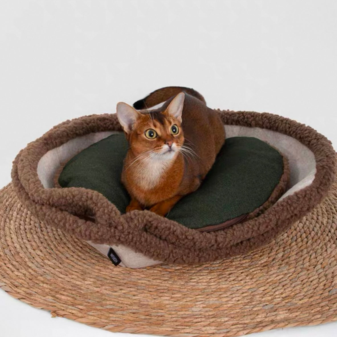 Multi-Functional Tart Cat Bed [Brown]