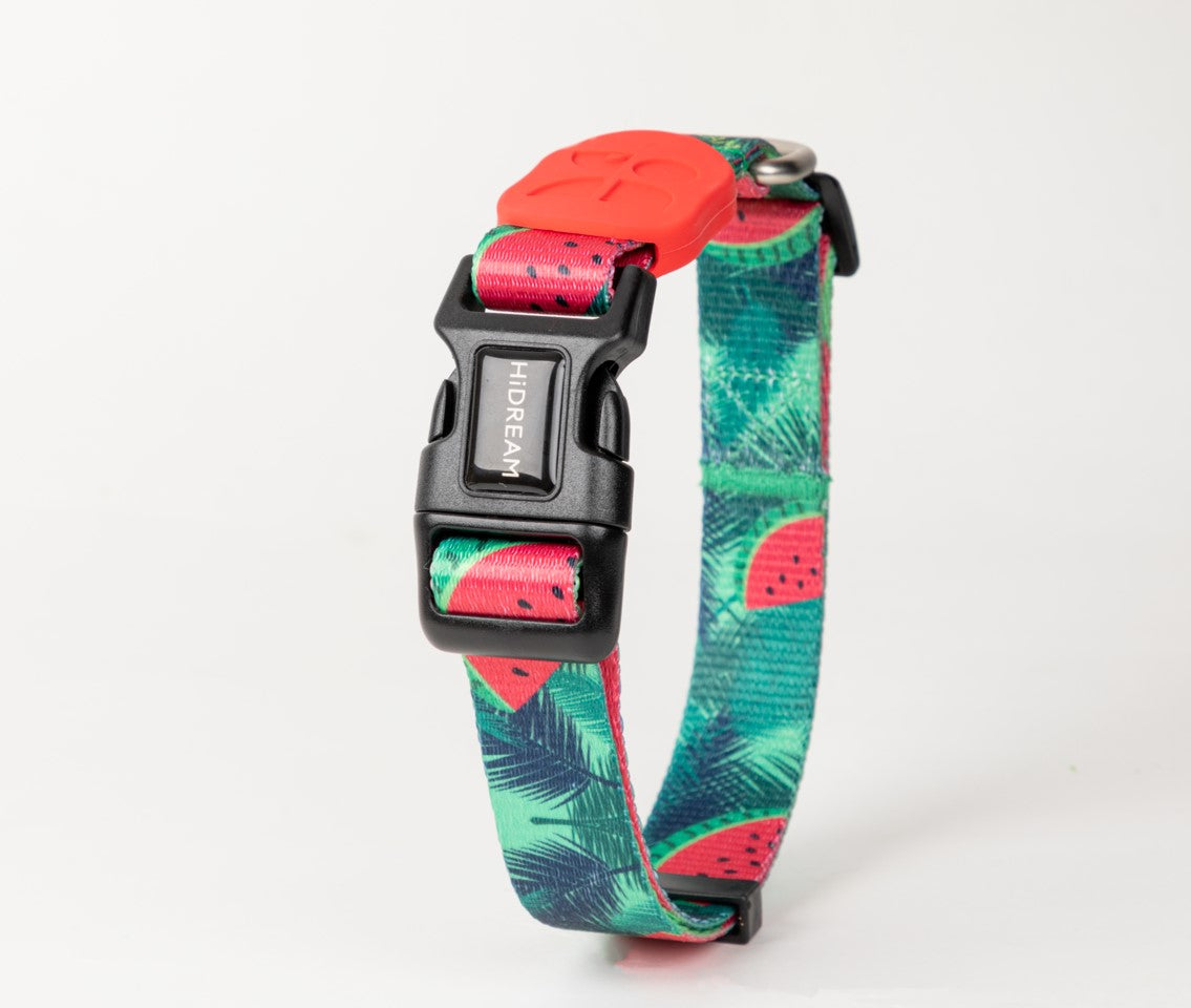 Colorful Series Dog Collar [Watermelon]