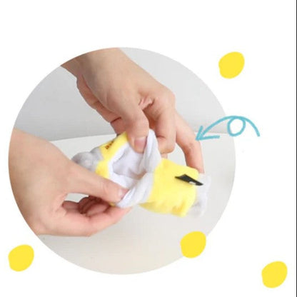 🧦 Hide-and-Seek BB Squeaky Socks Toy [Set of 3]
