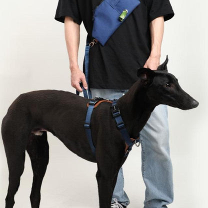 BOBO Series Leather I-shape Dog Harness [Cloud Mountain Blue]