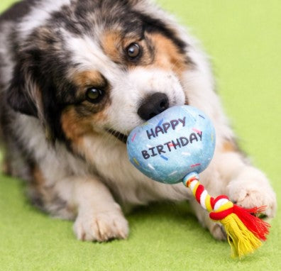 🎈Barkday Balloon Plush Tug Dog Toy