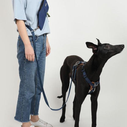 BOBO Series Leather I-shape Dog Harness [Cloud Mountain Blue]