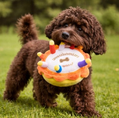 🎂Barkday Cake Squeaky Plush Dog Toy