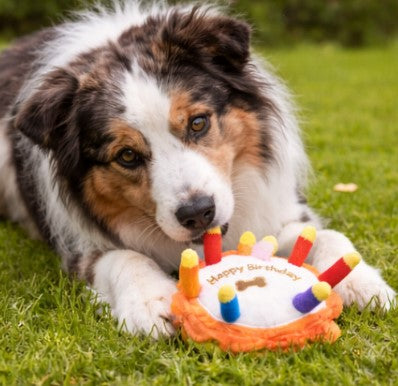 🎂Barkday Cake Squeaky Plush Dog Toy