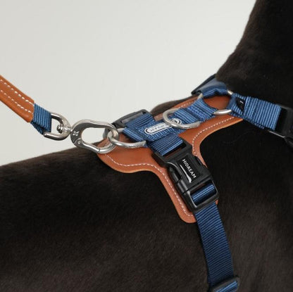 BOBO Series Leather I-shape Dog Harness [Cloud Mountain Blue]