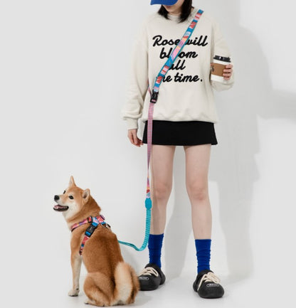 Colorful PRO Series X Harness [Mountain and River Impressions]