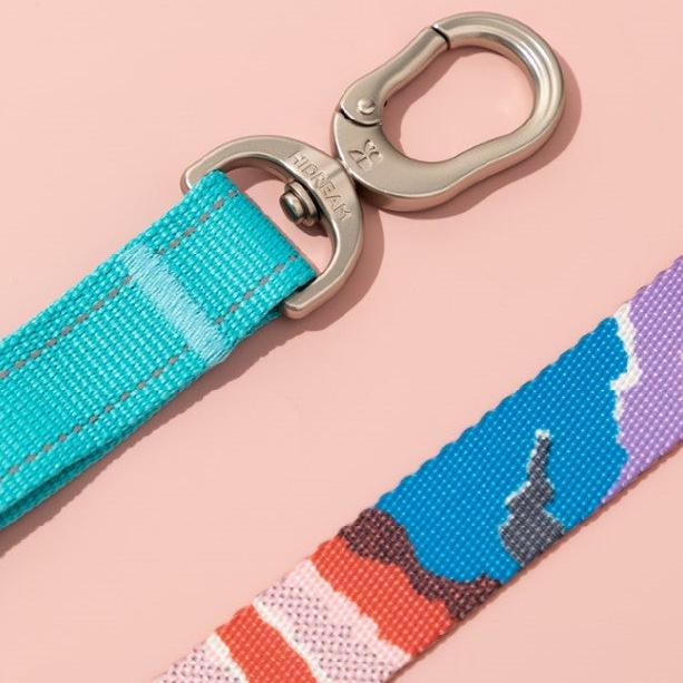 Colorful Pro Series Multipurpose Buffer Dog Leash [Bobby]